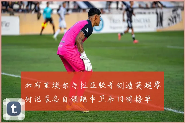 加布里埃尔与拉亚联手创造英超零封记录各自领跑中卫和门将榜单