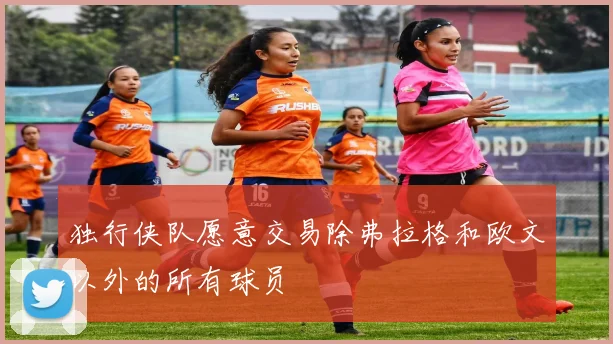 独行侠队愿意交易除弗拉格和欧文以外的所有球员