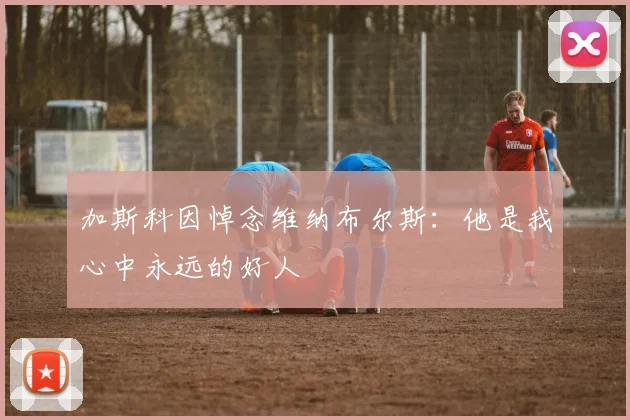 加斯科因悼念维纳布尔斯：他是我心中永远的好人