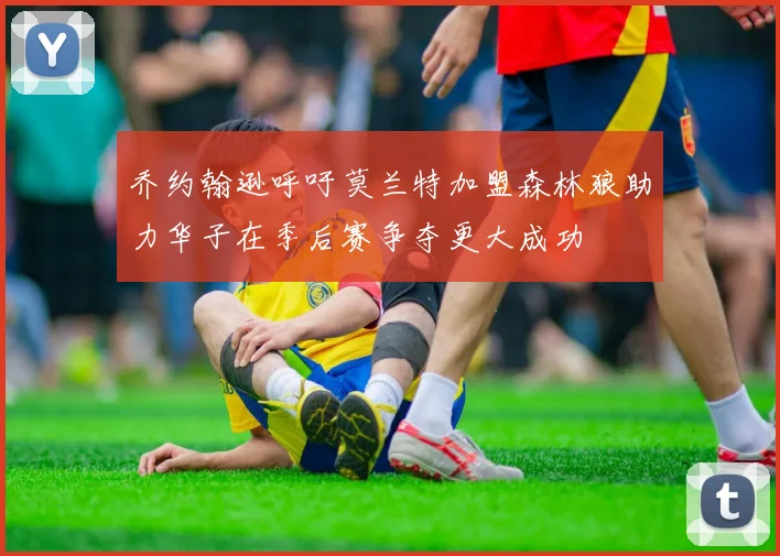 乔约翰逊呼吁莫兰特加盟森林狼助力华子在季后赛争夺更大成功