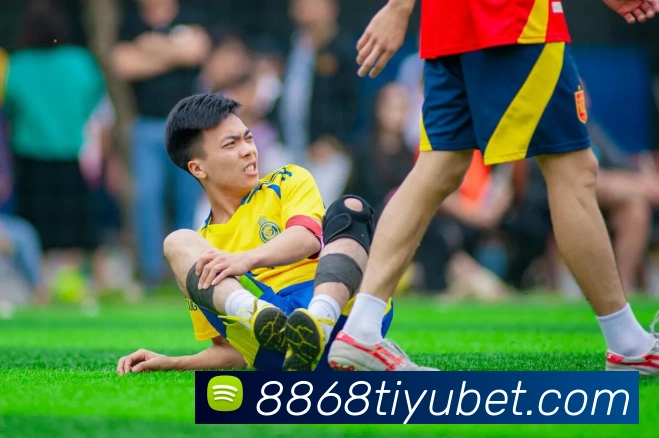 8868体育平台生态图